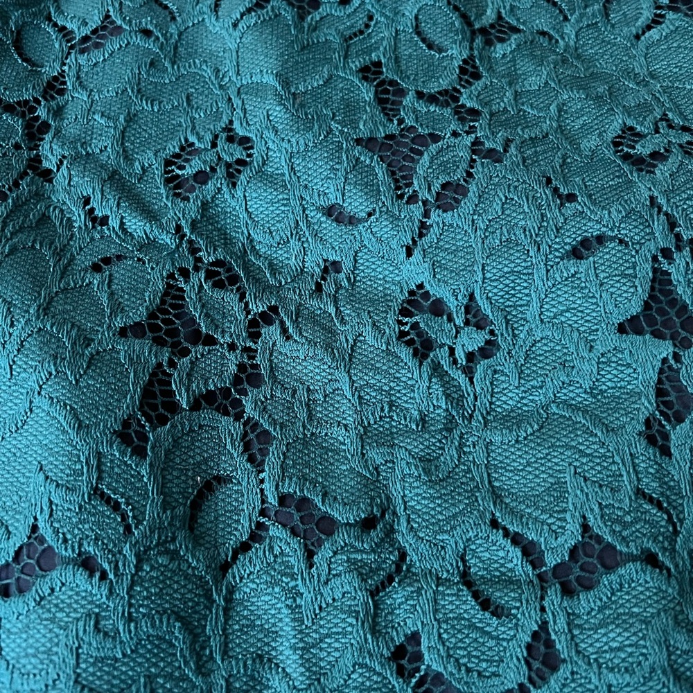 NWT Anthropologie Anisa Lace Pencil Skirt - Picture 6 of 12